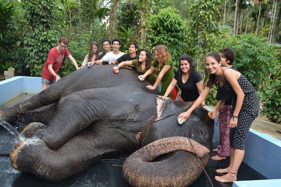 Green Leaf Home Stay Thekkady Esterno foto