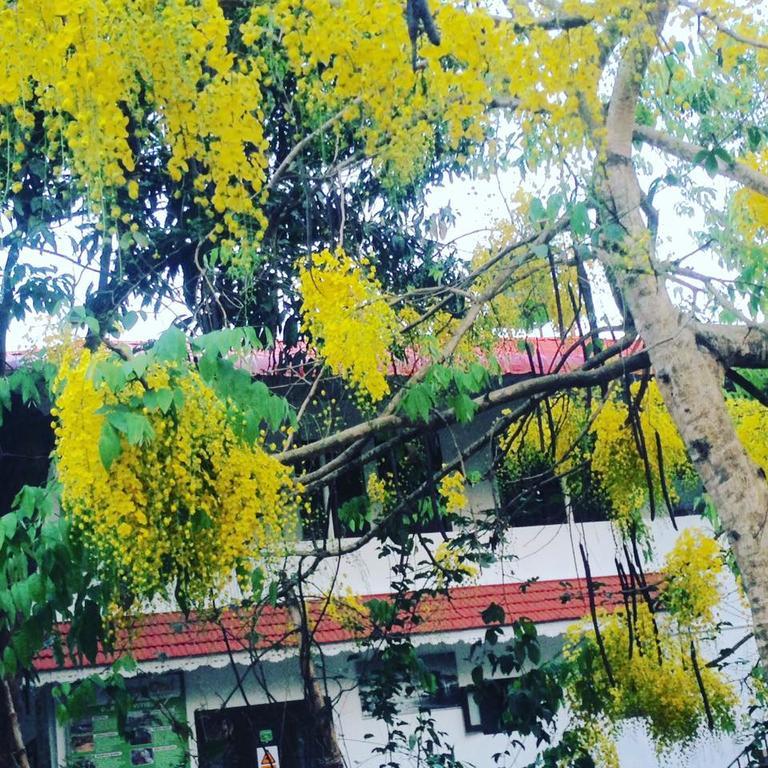 Green Leaf Home Stay Thekkady Esterno foto