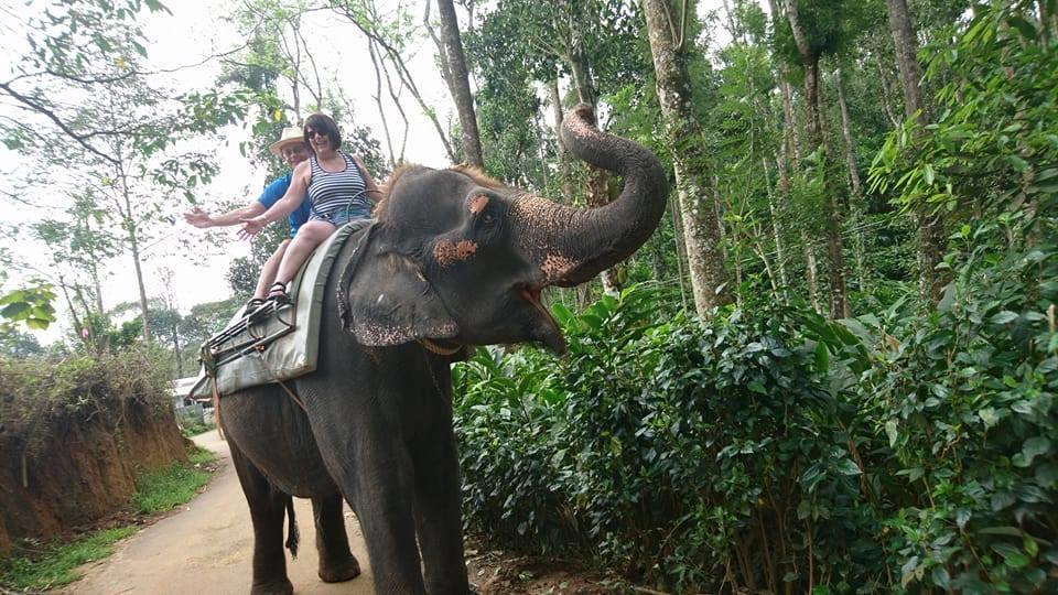 Green Leaf Home Stay Thekkady Esterno foto